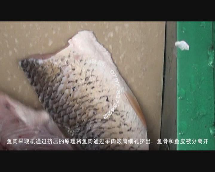 �~��ӹ������O��