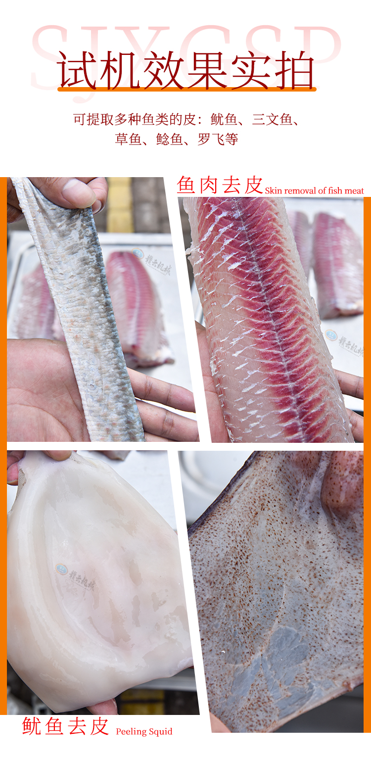 �~(y��)��ȥƤԇ�C(j��)Ч����(sh��)��